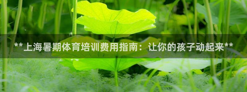 富联是什么板块：**上海暑期体育培训费用指南：让你的