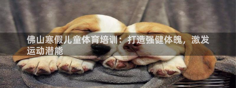 富联集团做什么的啊