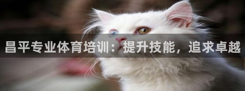 富联集团做什么的：昌平专业体育培训：提升技能，追求卓