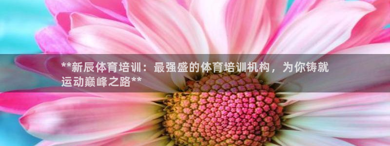 富联娱乐登录注册入口官网网址是什么：**新辰体育培训