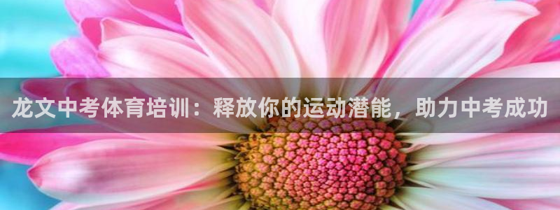 富联娱乐是资金盘吗：龙文中考体育培训：释放你的运动潜