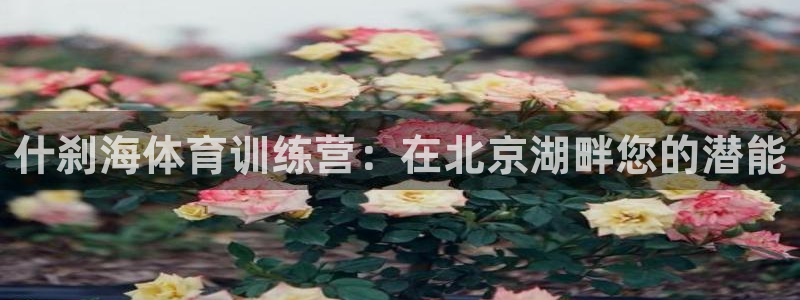 富联娱乐玩法机制：什刹海体育训练营：在北京湖畔您的潜