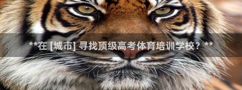 富联平台赢钱不给退怎么办呀：**在 [城市] 寻找顶