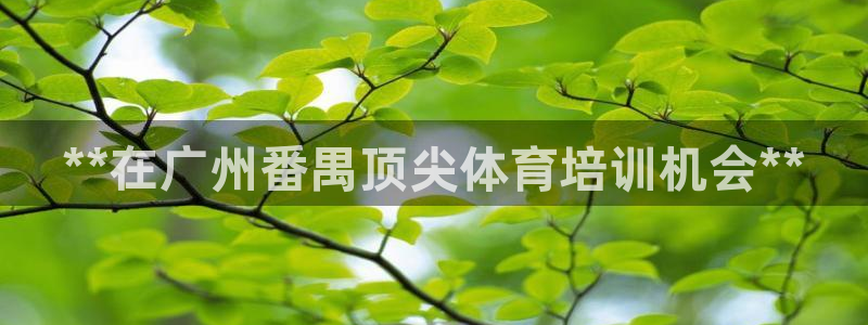 富联娱乐测速登录：**在广州番禺顶尖体育培训机会**