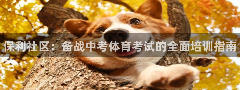 富联娱乐平台是什么平台：保利社区：备战中考体育考试的