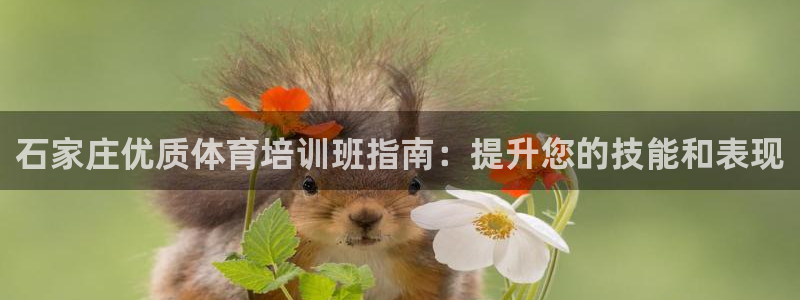 富联平台七7O777：石家庄优质体育培训班指南：提升