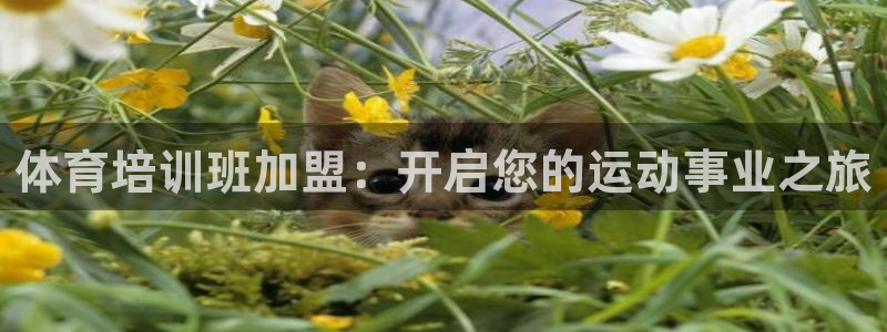 富联平台总代理是谁：体育培训班加盟：开启您的运动事业