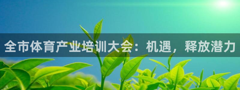 富联娱乐总代理电话：全市体育产业培训大会：机遇，释放