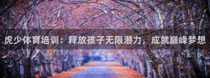 富联官方网站入口下载：虎少体育培训：释放孩子无限潜力