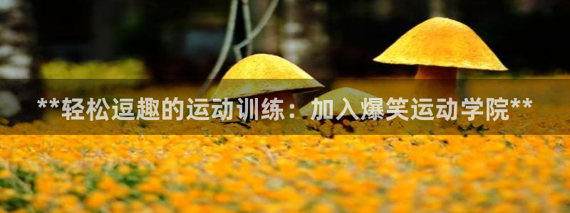 富联娱乐正规吗：**轻松逗趣的运动训练：加入爆笑运动