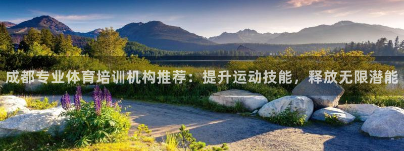 富联平台登录入口官网：成都专业体育培训机构推荐：提升