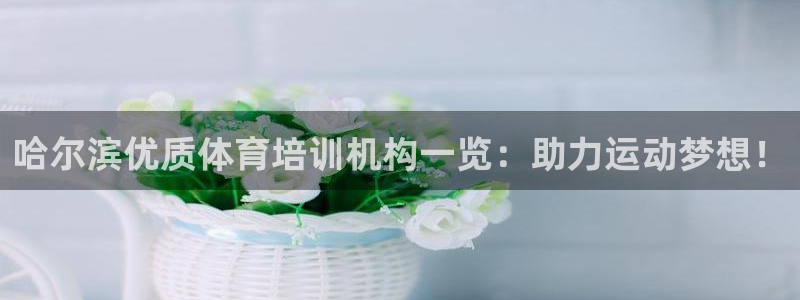 富联商厦：哈尔滨优质体育培训机构一览：助力运动梦想！