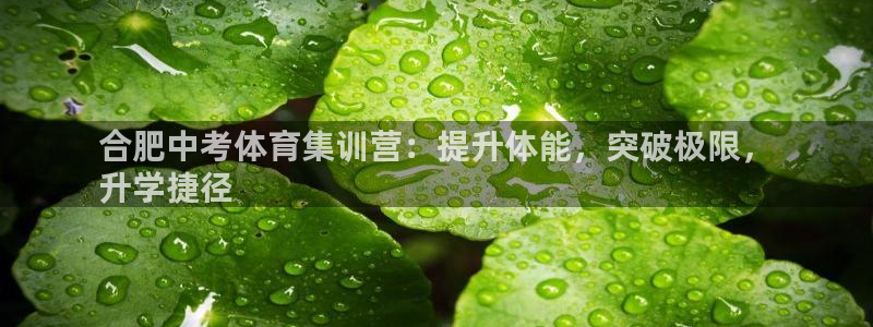 富联平台开户：合肥中考体育集训营：提升体能，突破极限