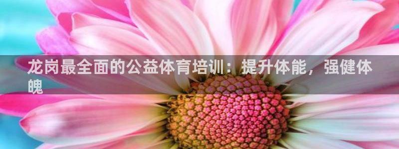 香港富联集团：龙岗最全面的公益体育培训：提升体能，强