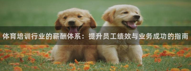 富联娱乐怎么样可靠吗：体育培训行业的薪酬体系：提升员