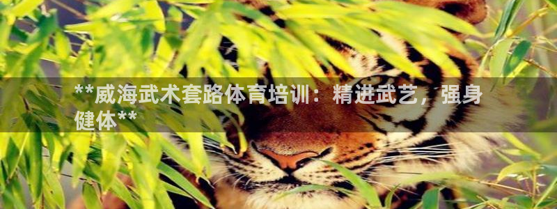 富联娱乐总代理电话：**威海武术套路体育培训：精进武