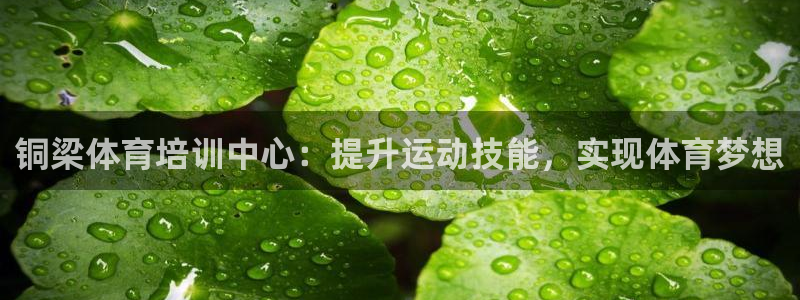 富联平台注册地址在哪里：铜梁体育培训中心：提升运动技