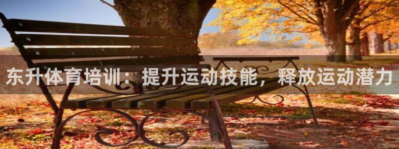 富联娱乐股东：东升体育培训：提升运动技能，释放运动潜