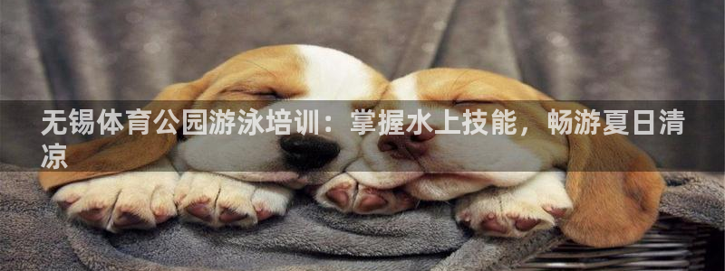 富联娱乐官方网站下载安装：无锡体育公园游泳培训：掌握