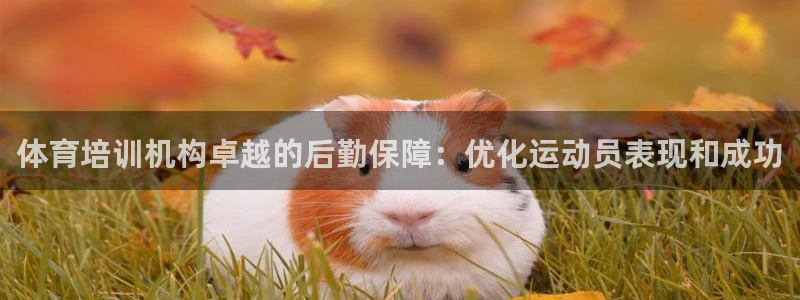 富联官网注册流程：体育培训机构卓越的后勤保障：优化运