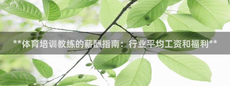 富联集团最新消息今天：**体育培训教练的薪酬指南：行