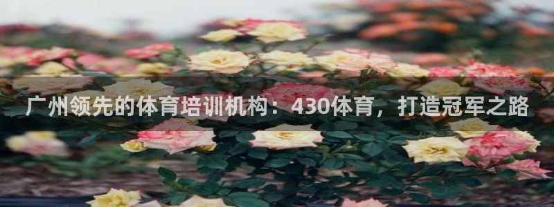 富联平台布7O777：广州领先的体育培训机构：430