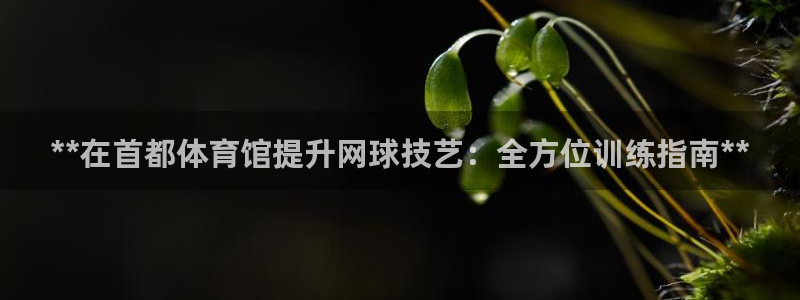 富联官方网站入口网址是多少：**在首都体育馆提升网球
