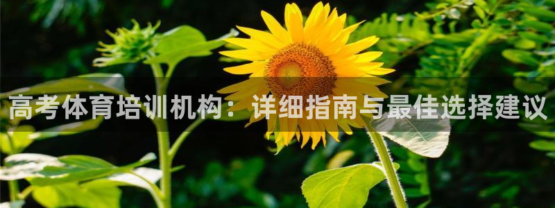 富联地产怎么样：高考体育培训机构：详细指南与最佳选择
