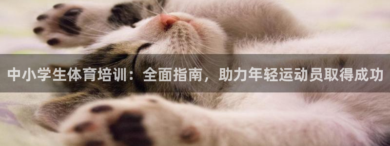 富联娱乐登录注册账号：中小学生体育培训：全面指南，助
