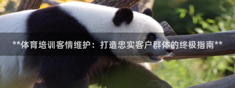 富联娱乐在线注册链接怎么弄：**体育培训客情维护：打造忠实客