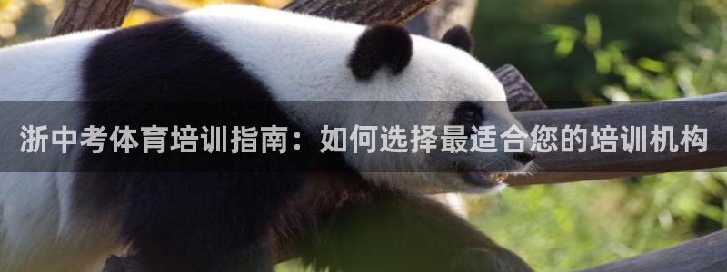 富联集团最新消息新闻：浙中考体育培训指南：如何选择最