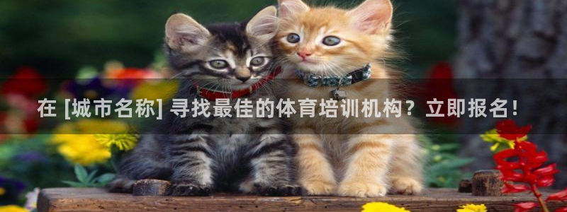 富联平台主管代理：在 [城市名称] 寻找最佳的体育培
