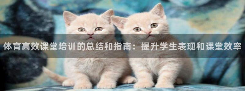富联地产怎么样可靠吗：体育高效课堂培训的总结和指南：