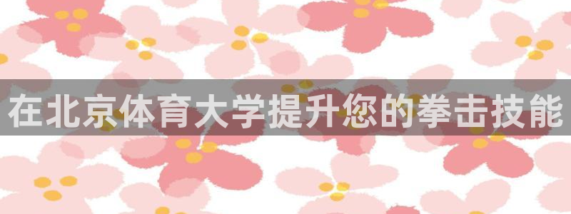富联平台主管代理：在北京体育大学提升您的拳击技能