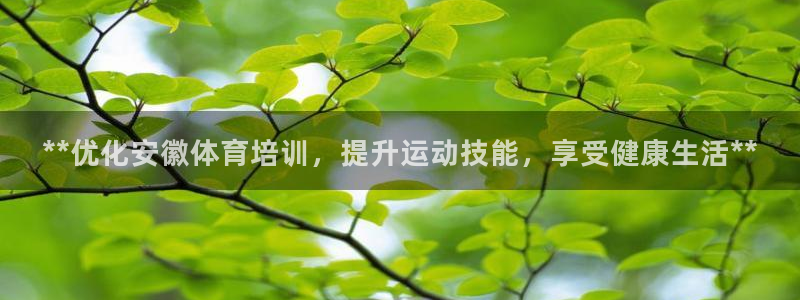 富联申购上市价格预测：**优化安徽体育培训，提升运动