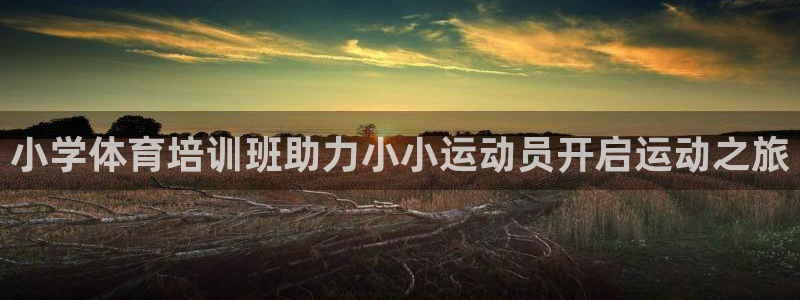 富联申购什么时间上市：小学体育培训班助力小小运动员开