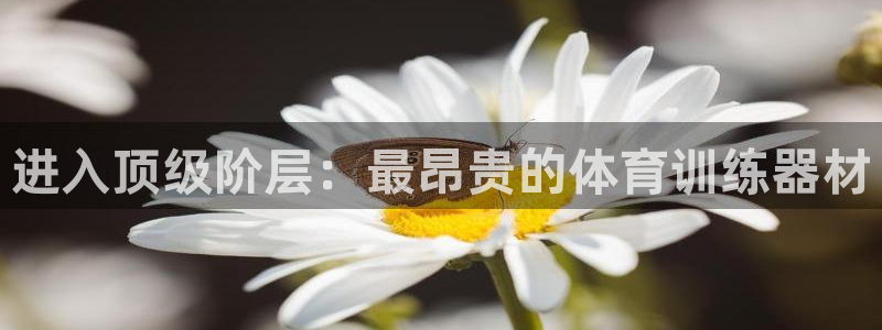 富联娱乐登录地址在哪里：进入顶级阶层：最昂贵的体育训