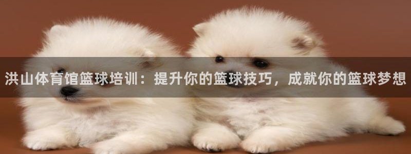 富联官方网站入口下载安装