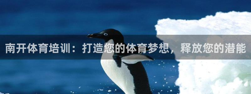 富联平台升 5O6917 平台：南开体育培训：打造您