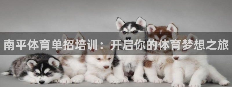 富联平台加认 58.53.4I：南平体育单招培训：开