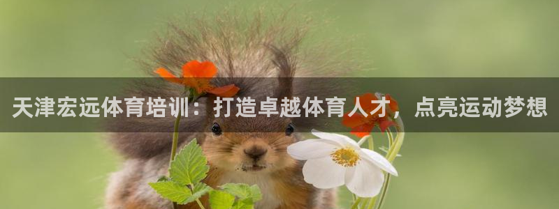 富联平台奇7O777：天津宏远体育培训：打造卓越体育