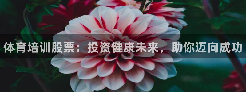 富联丰地产怎么样：体育培训股票：投资健康未来，助你迈