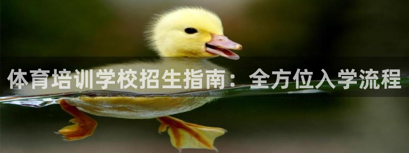 富联申购是什么股票板块：体育培训学校招生指南：全方位