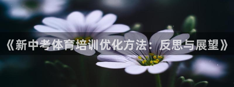 富联娱乐：《新中考体育培训优化方法：反思与展望》