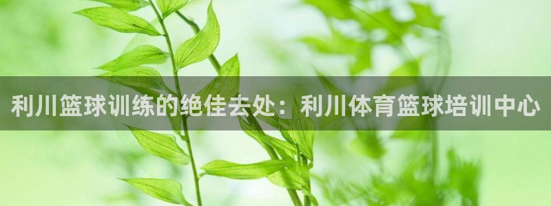 富联申购什么时候上市交易：利川篮球训练的绝佳去处：利