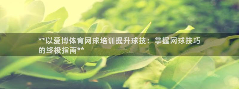 富联娱乐总代理是谁：**以爱博体育网球培训提升球技：