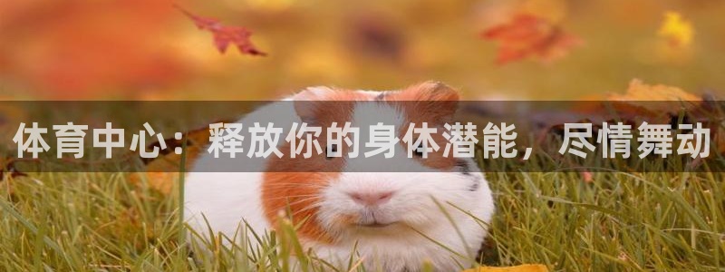 富联娱乐集7O777：体育中心：释放你的身体潜能，尽