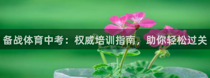 富联娱乐真的吗：备战体育中考：权威培训指南，助你轻松