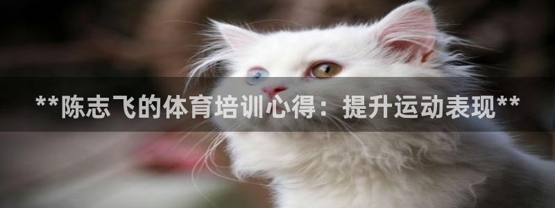 富联平台官网登录入口：**陈志飞的体育培训心得：提升