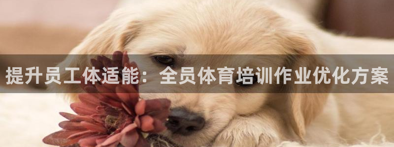 富联娱乐股东：提升员工体适能：全员体育培训作业优化方